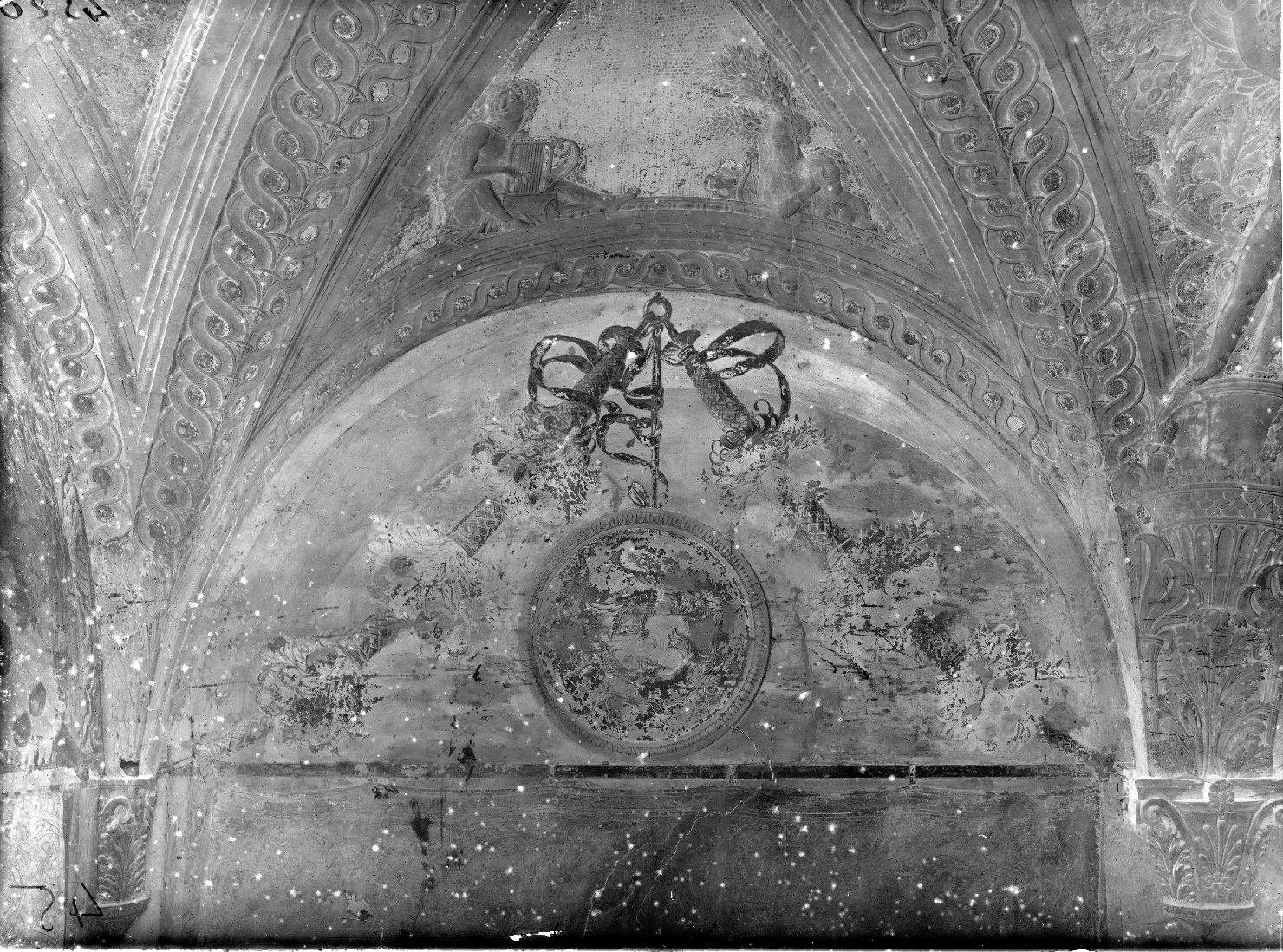 Mantova - Dipinti murali - Restauri (negativo) di Mantegna, Andrea, Anonimo (XX)