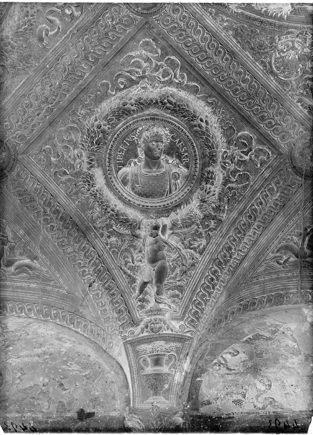 Mantova - Dipinti murali - Restauri (negativo) di Mantegna, Andrea, Anonimo (XX)