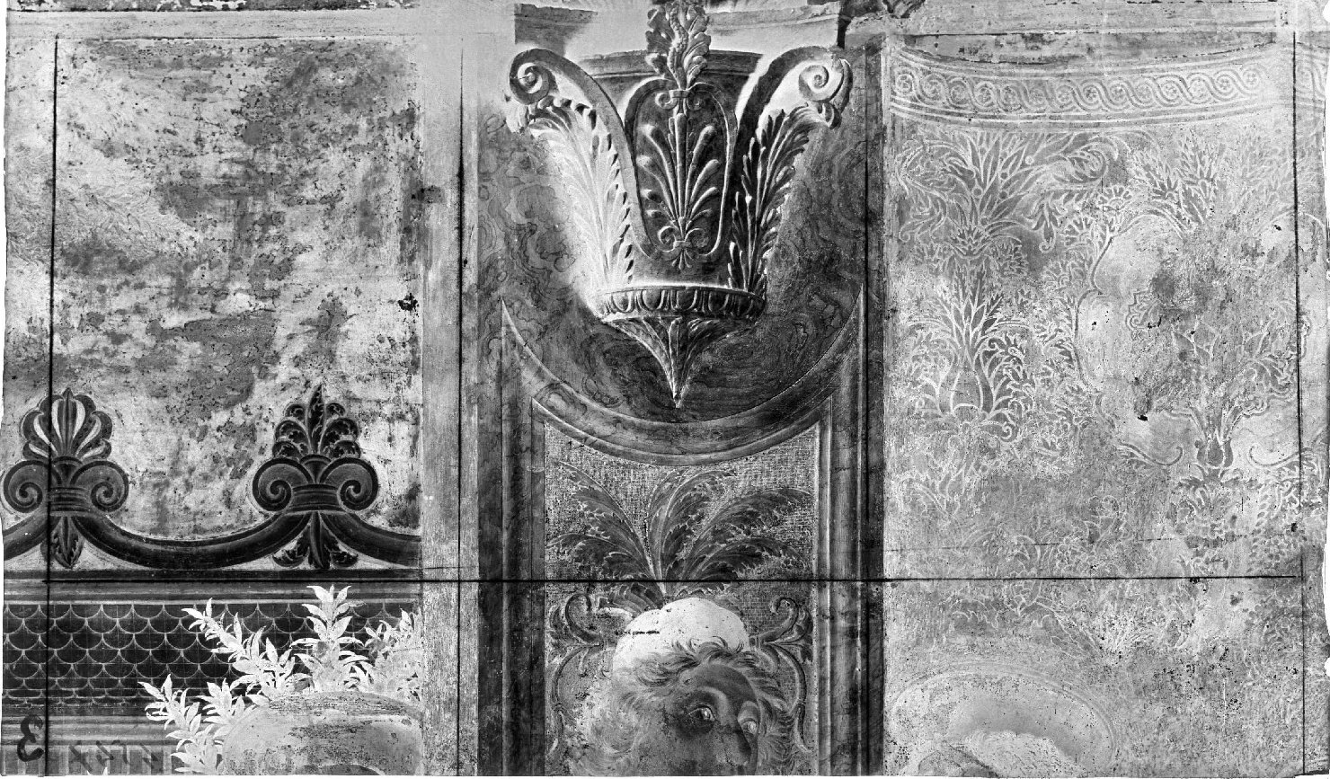 Mantova - Dipinti murali - Restauri (negativo) di Mantegna, Andrea, Anonimo (XX)