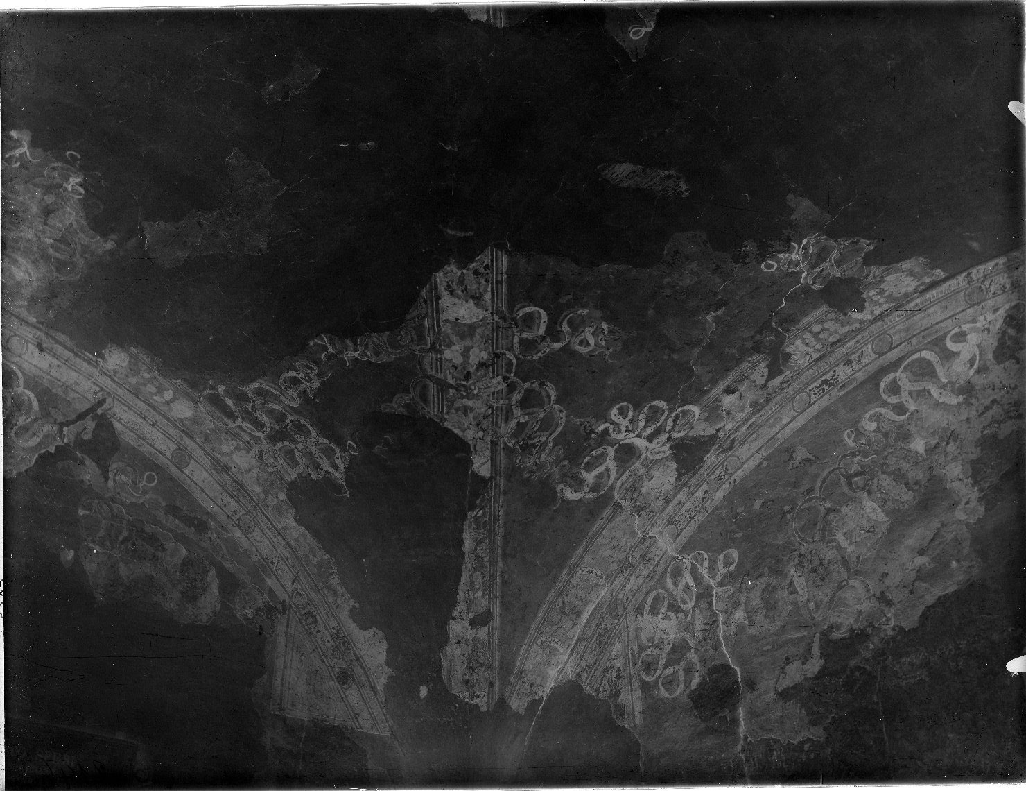 Mantova - Dipinti murali (negativo) di Anonimo - ambito mantegnesco (prima metà XX)