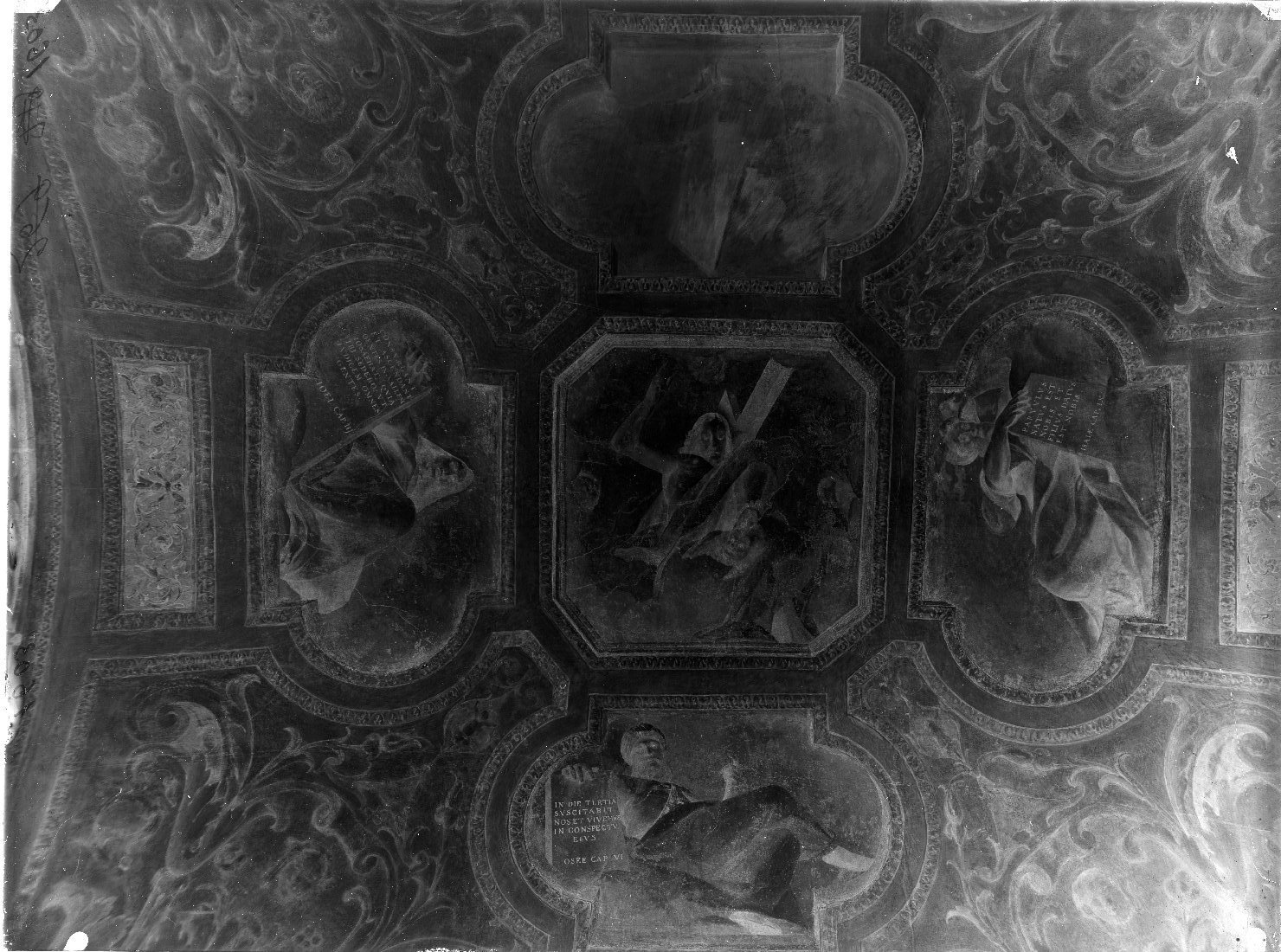 Mantova - Dipinti murali (negativo) di Viani, Antonio Maria, Anonimo (XX)