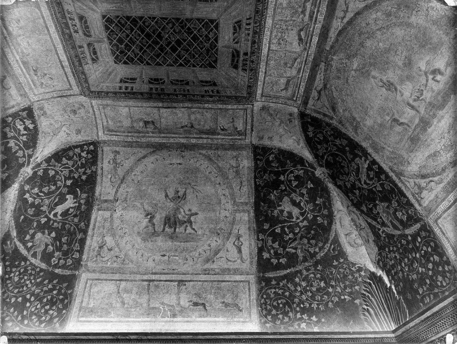 Mantova - Dipinti murali - Restauri (negativo) di Giulio Romano (attr), Anonimo (XX)