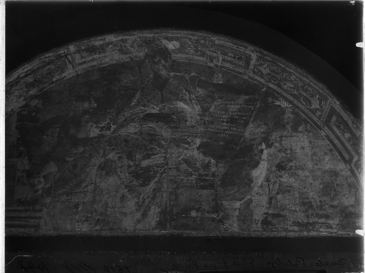 Mantova - Dipinti murali - Restauri (negativo) di Viani, Antonio Maria, Anonimo (XX)