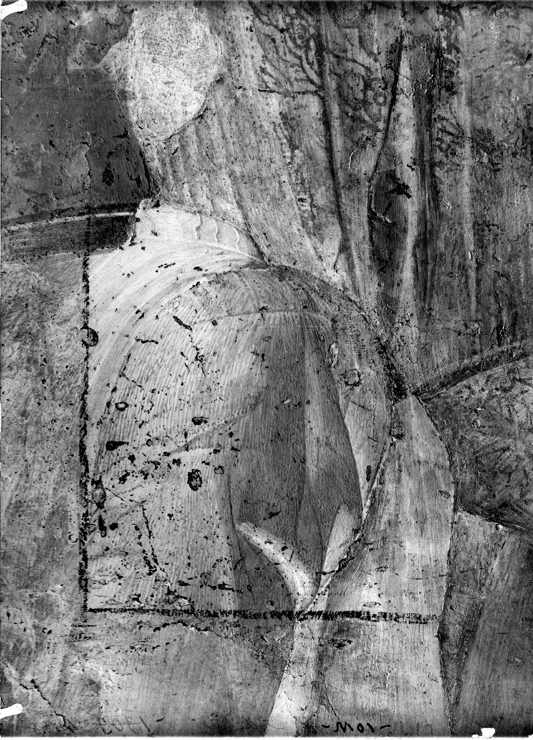 Mantova - Dipinti murali - Restauri (negativo) di Mantegna, Andrea, Anonimo (XX)