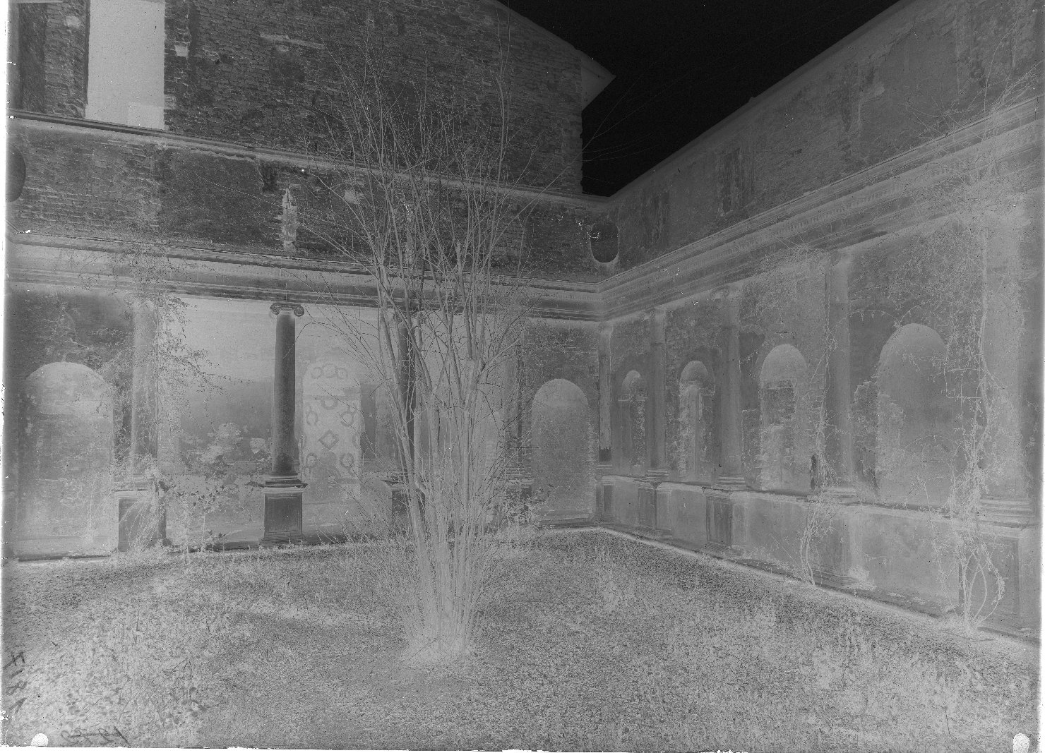 Mantova - Architetture - Giardini - Restauri (negativo) di Covo, Battista (attr), Viani, Antonio Maria (attr), Fotografia Basile (attr) (XX)