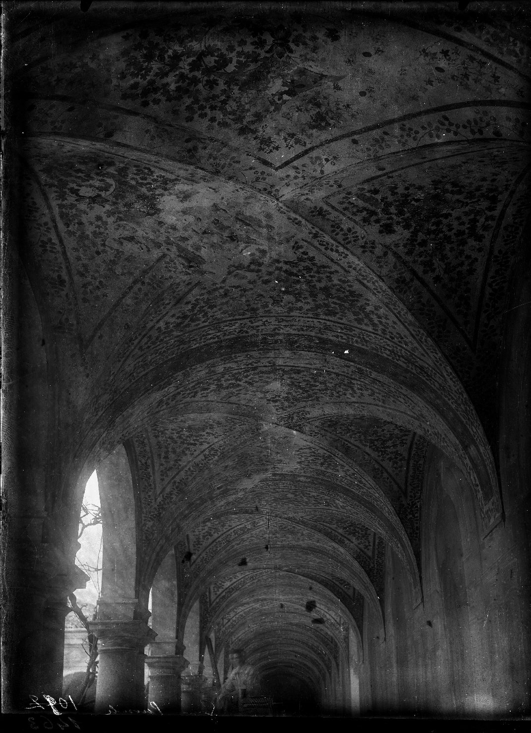 Mantova - Architetture - Giardini (negativo) di Pedemonte, Pompeo, Anonimo (XX)