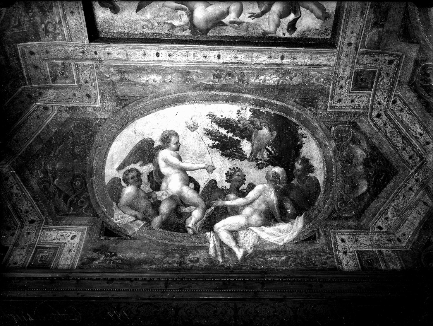 Mantova - Architetture - Pitture murali (negativo) di Costa, Lorenzo (il Giovane) (attr), Anonimo (XX)