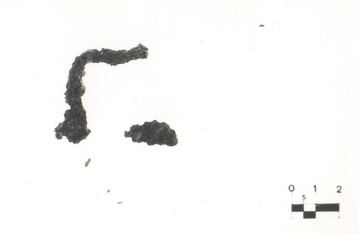 fibula, ad arco serpeggiante (V-IV a.C)