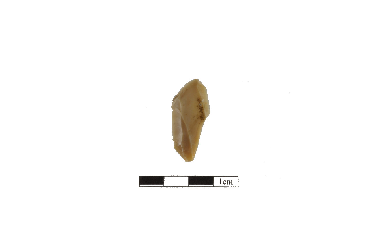 microbulino, microbulino distale (inizio/ metà Neolitico)