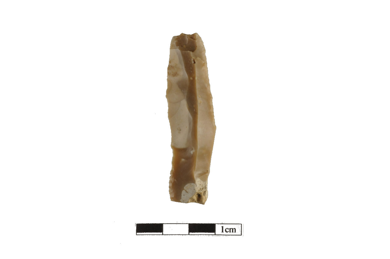 lama-raschiatoio, lama raschiatoio a ritocco marginale (inizio/ metà Neolitico)