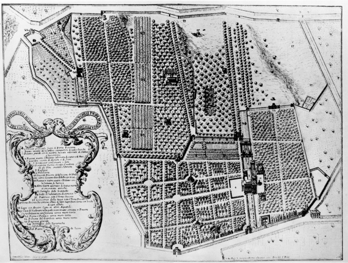 Roma - Villa Borghese - Parco - pianta (positivo) di Delino, Simon Felice, anonimo (seconda meta' XX)