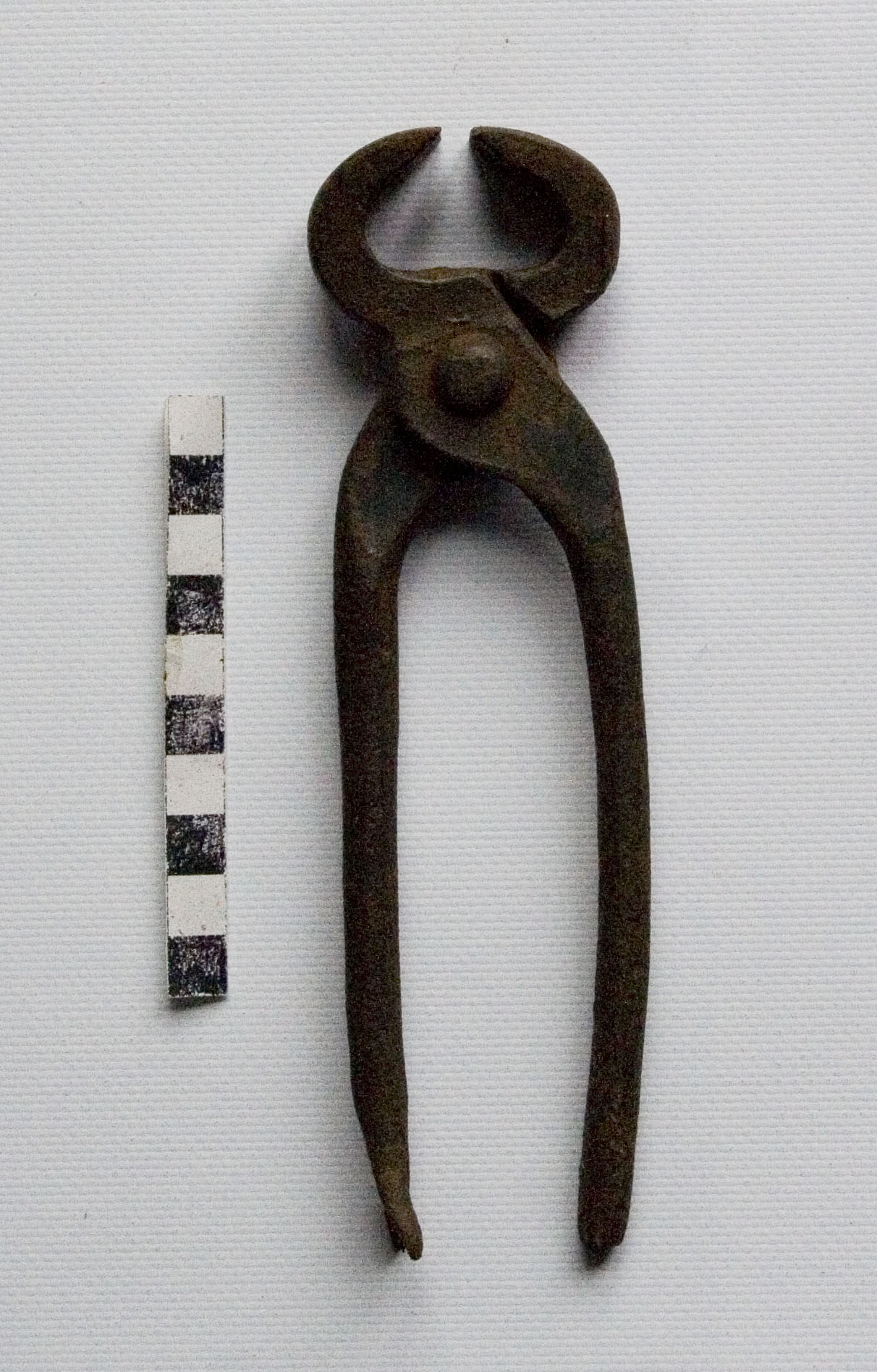 Tenaglie, tenaglie, strumenti degli artigiani