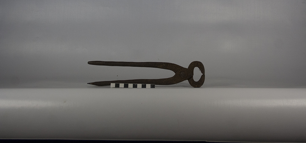 Pinza per lo zoccolo, strumento utilizzato durante il processo di ferratura