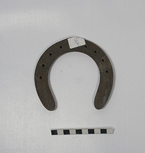 Ferro di cavallo, strumento utilizzato durante la ferratura