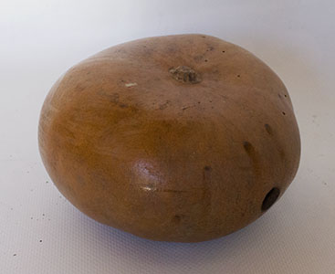 Zucca essiccata, zucche, contenitore per liquidi