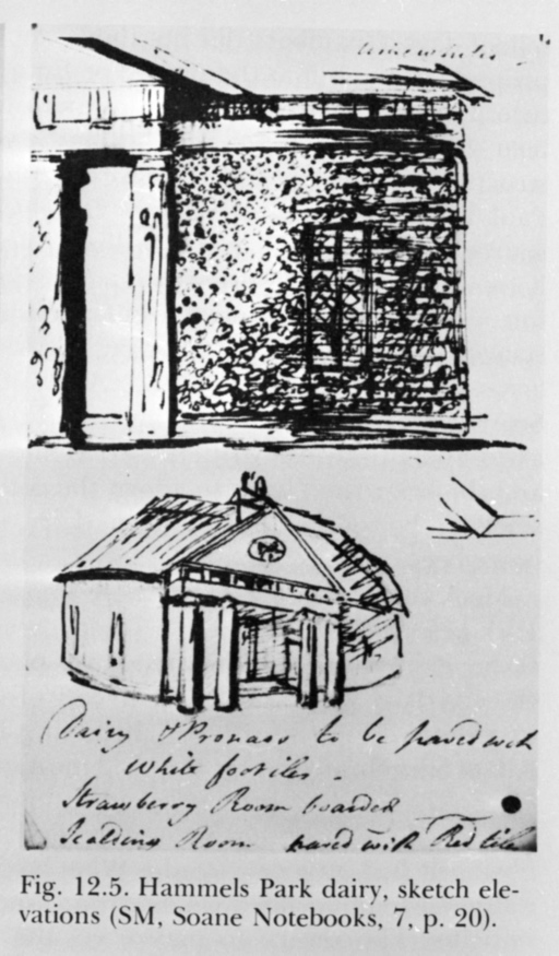 Hertfordshire - Hammels Park - fattoria - schizzi (positivo) di Soane, John, anonimo (seconda meta' XX)