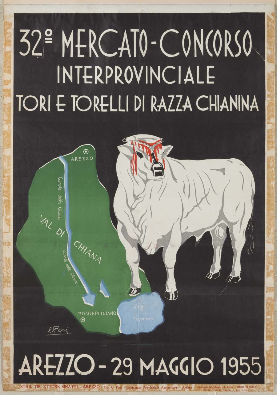 bovino e raffigurazione della Val di Chiana (manifesto) di Paci Carlo (sec. XX)