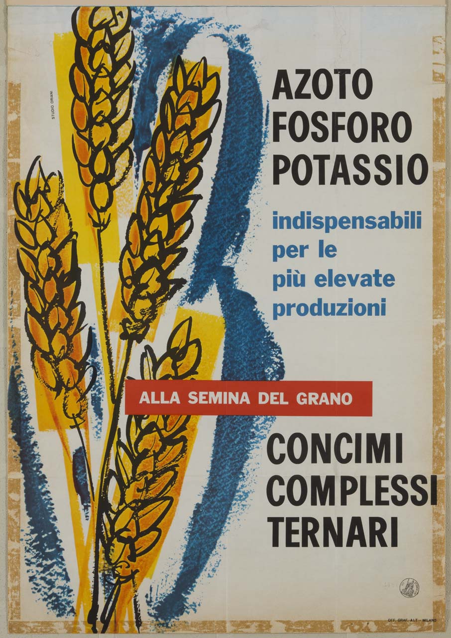 mazzo di spighe di grano (manifesto) di Studio Oriani (sec. XX)