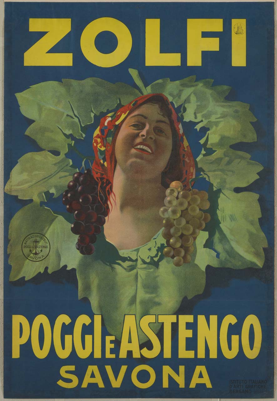 mezzo busto di donna tra foglie di vite e grappoli d'uva (manifesto) - ambito italiano (sec. XX)