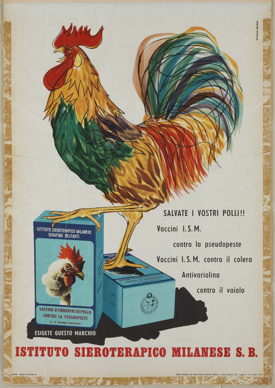 gallo sopra due confezioni di vaccini per pollame (manifesto) di Studio Oriani (sec. XX)