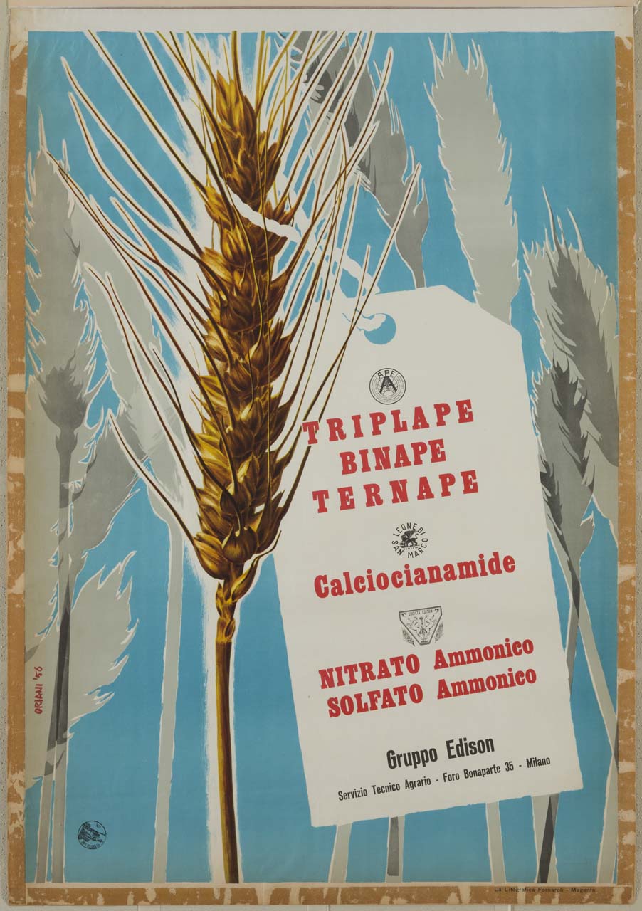 spiga di grano recante cartellino con scritte pubblicitarie (manifesto) di Oriani Luigi (sec. XX)