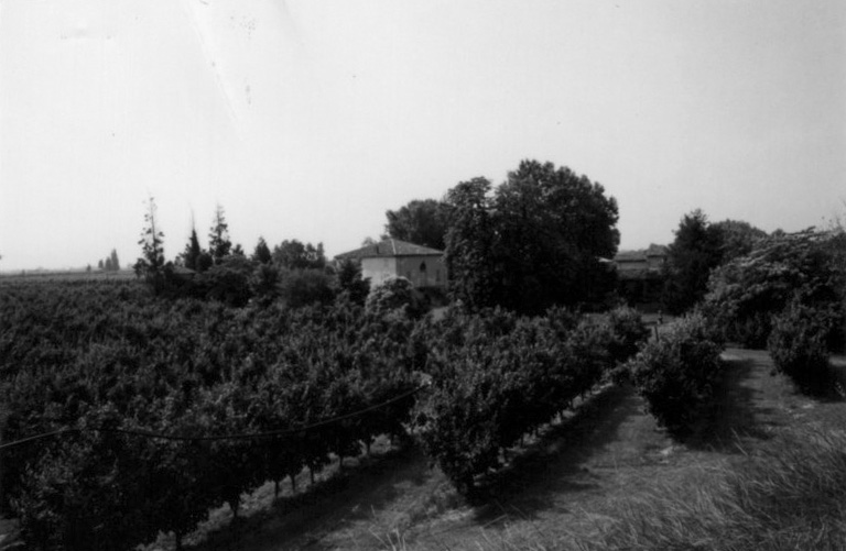 Villa La Rugata (villa-complesso, rurale) - Faenza (RA)  (XVIII)