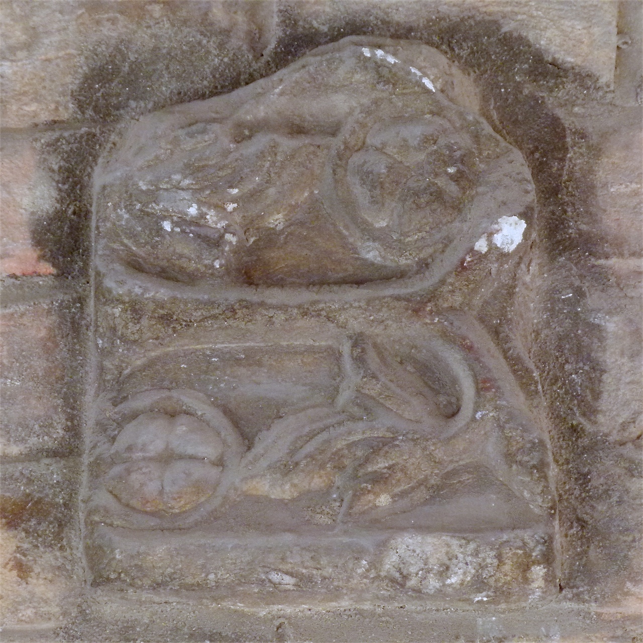 motivi decorativi vegetali (rilievo, frammento) - ambito veneto (secc. XI-XII)