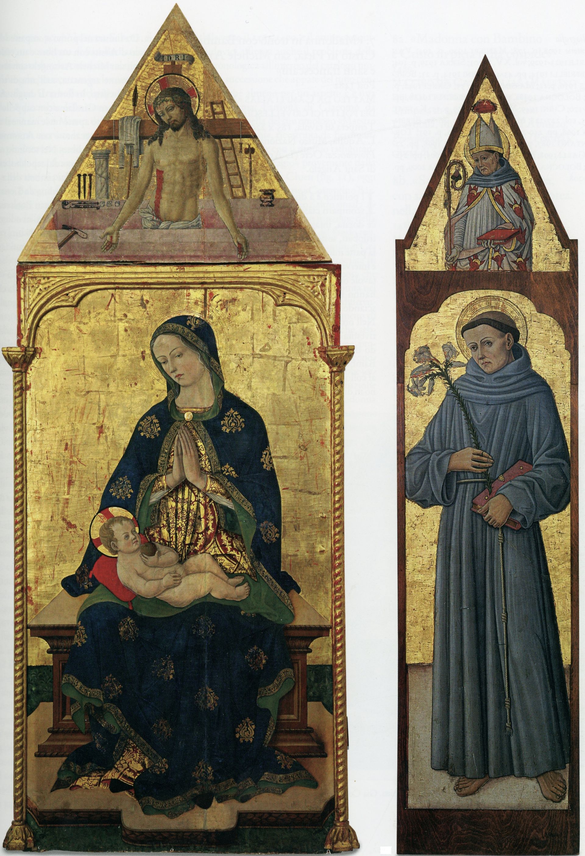 Madonna con Bambino, Cristo in pietà e santi, Madonna con Bambino, Cristo in pietà e santi (dipinto) di Maestro dei Polittici Crivelleschi (attribuito) (fine sec. XV)