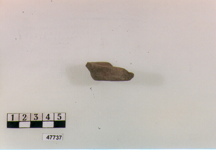 fondo (secc. V/ IX d.C)