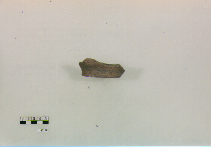 fondo (secc. V/ IX d.C)