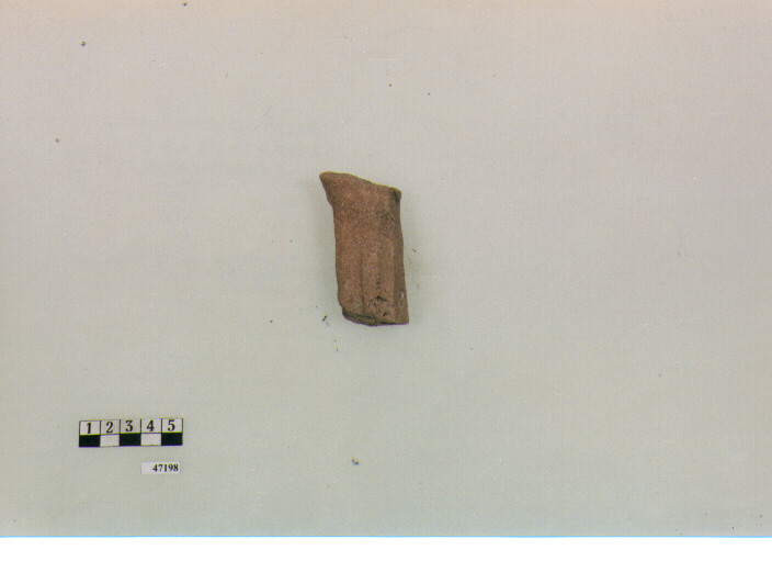 ansa (secc. V/ IX d.C)