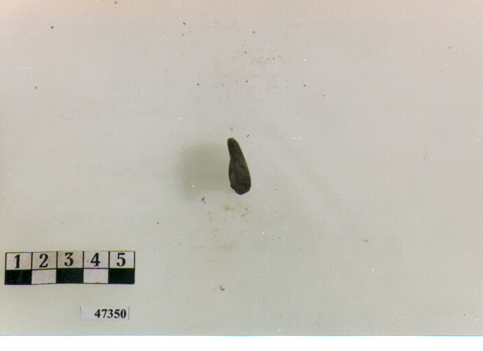 orlo (secc. V/ VII d.C)