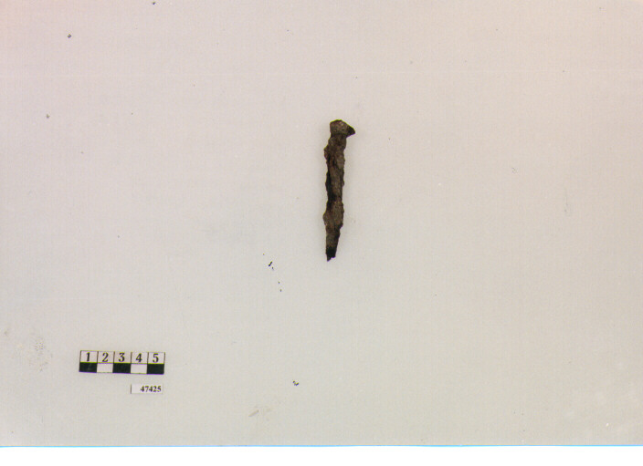 chiodo (sec. IV d.C./ VII d.C)