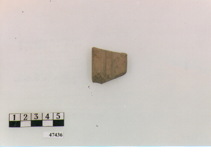 ansa (secc. V/ IX d.C)