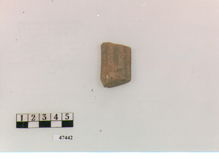 ansa (secc. V/ IX d.C)