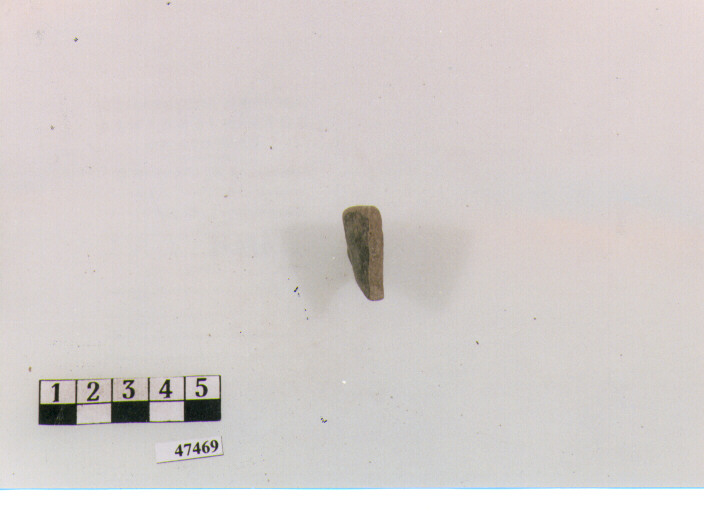 ciotola/ orlo, Morel, serie 2154b1 (sec. II a.C)