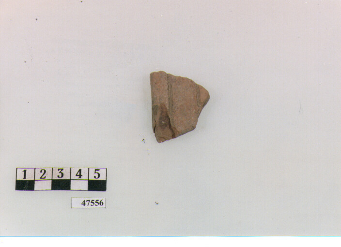 ansa (secc. V/ IX d.C)