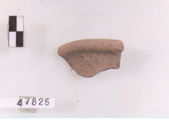 orlo (secc. V/ IX d.C)