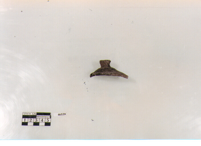 coperchio (sec. IV a.C./ III a.C)