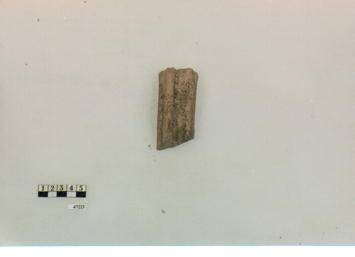 ansa (secc. V/ VII d.C)