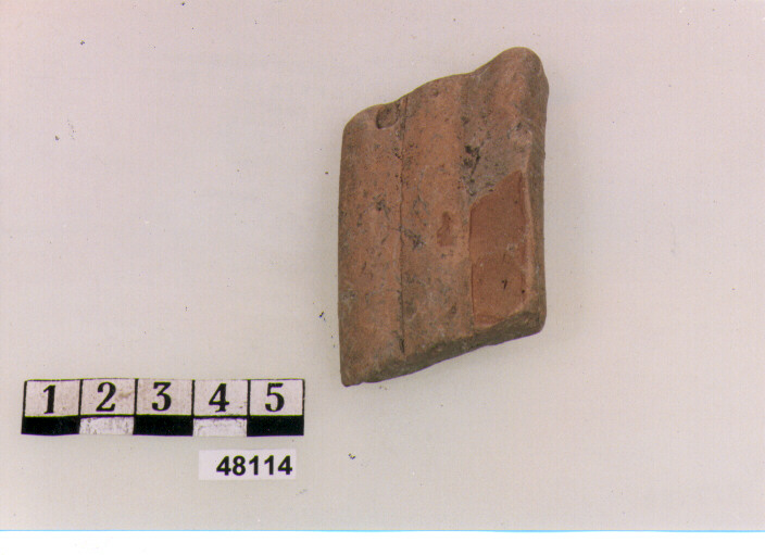 ansa (secc. V/ IX d.C)