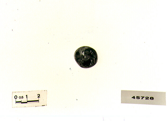 D/Atena R/ Vittoria su biga (didracma) (sec. III a.C)