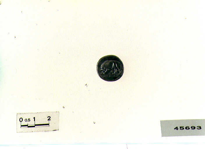 D/ Atena R/ leone (didracma) (sec. IV a.C)