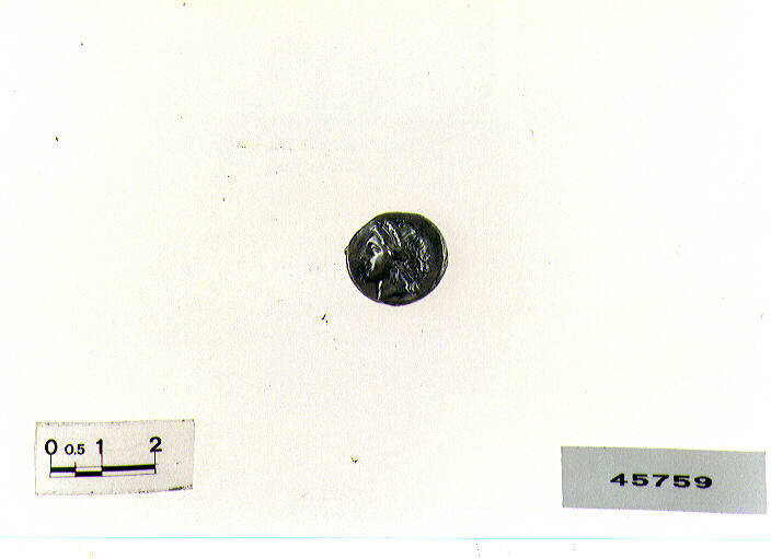 D/ ninfa R/ toro androcefalo (didracma) (sec. III a.C)