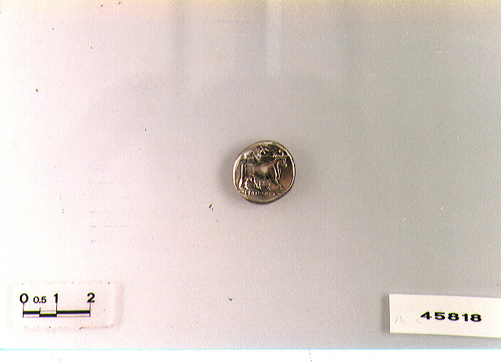 D/ ninfa R/ toro androcefalo (didracma) (sec. III a.C)