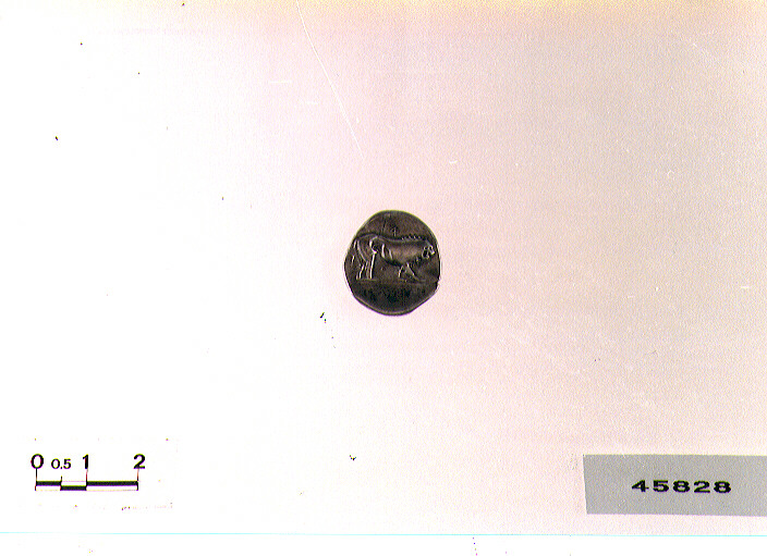 D/ Atena R/ leone (statere) (sec. IV a.C)