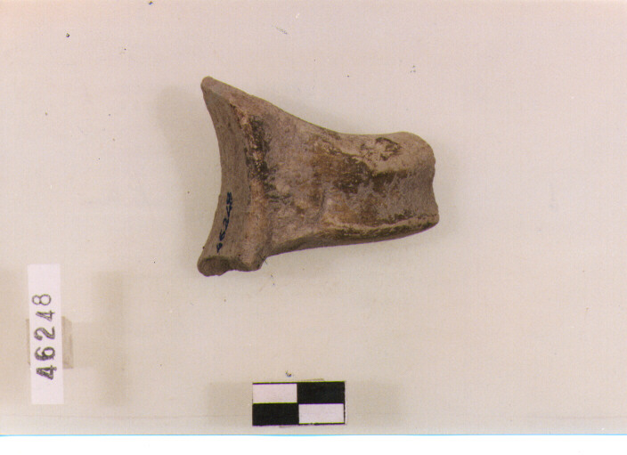 ansa (secc. V/ VII d.C)