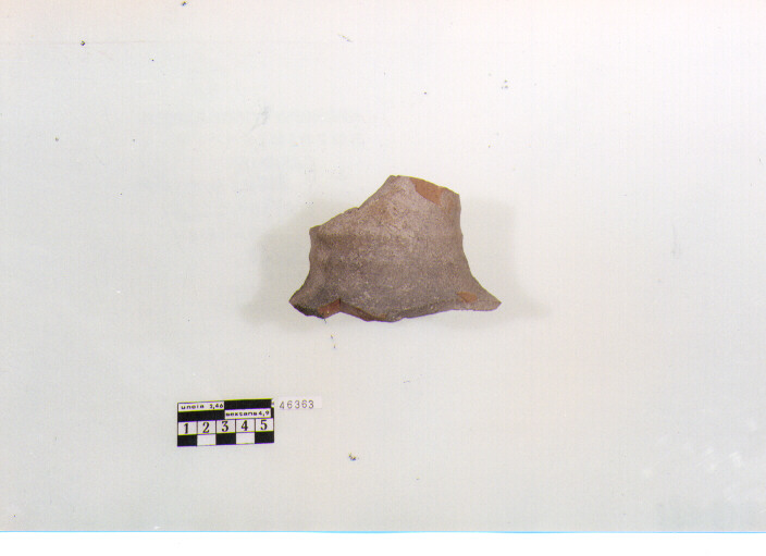 anfora/ collo (sec. V d.C)