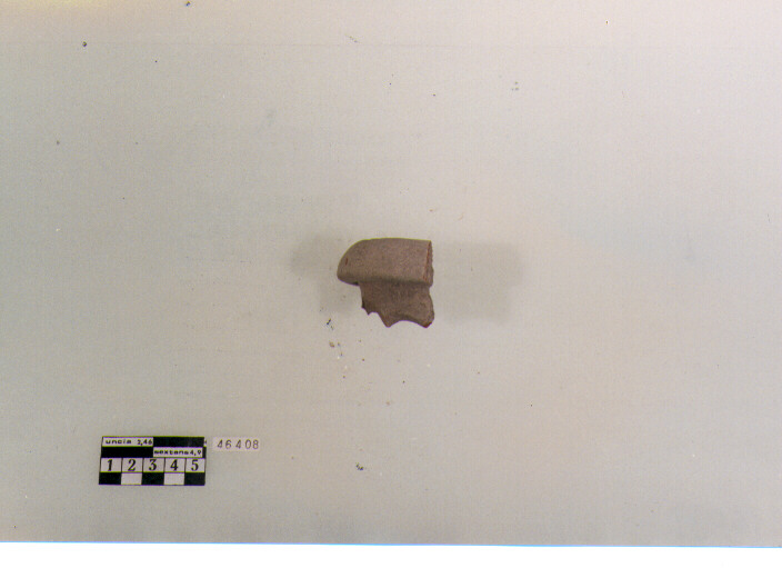 orlo, tipo Roma (sec. I d.C)