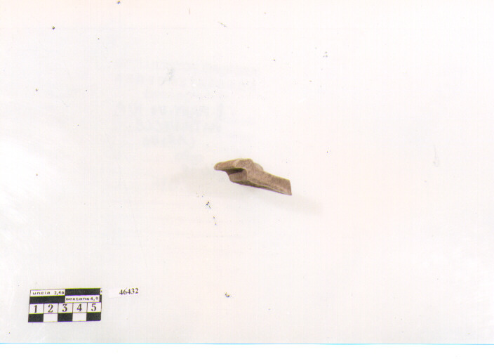 patera/ orlo, Lamboglia, forma 36 (secc. III/ I a.C)